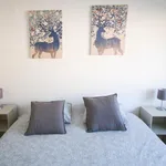 Rent 2 bedroom apartment in Lisbon