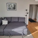 Rent 2 bedroom apartment of 53 m² in Szczecin