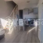 Rent 2 bedroom apartment of 55 m² in Pomezia