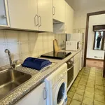 Rent 3 bedroom apartment of 65 m² in Viareggio