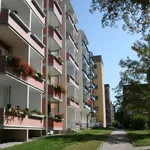 Rent 1 bedroom apartment of 32 m² in Großschirma