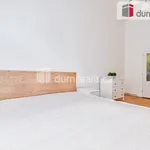 Rent 1 bedroom apartment in Prague