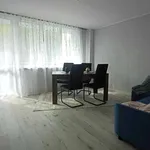 Rent 2 bedroom apartment of 50 m² in Sosnowiec