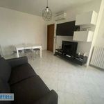 Rent 2 bedroom apartment of 60 m² in Bari