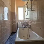 Rent 1 bedroom apartment of 30 m² in Milano