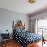 Rent 6 bedroom apartment in Porto