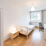 Rent 5 bedroom apartment in Munich