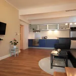 Rent 2 bedroom apartment of 60 m² in Prague