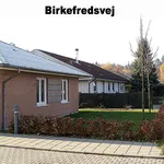 Lej 3-værelses hus på 86 m² i Brovst