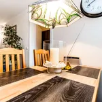 Rent 1 bedroom apartment of 55 m² in cologne