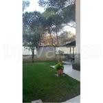 Rent 2 bedroom apartment of 65 m² in Pescara