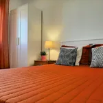 Rent 4 bedroom apartment in Lisbon