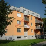 Rent 1 bedroom apartment in Pardubice