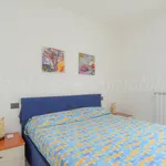 Rent 2 bedroom apartment of 50 m² in Vado Ligure