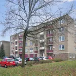 Rent 4 bedroom apartment of 140 m² in Arnhem