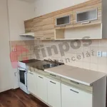 Rent 2 bedroom apartment in Benešov