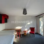 Rent 1 bedroom apartment of 33 m² in Capital City of Prague