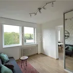 Rent 1 bedroom apartment of 32 m² in Praha