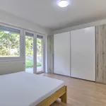 Pronajměte si 3 ložnic/e byt o rozloze 90 m² v Prague