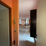 Rent 1 bedroom apartment of 100 m² in Borgomanero