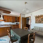 Rent 5 bedroom apartment of 140 m² in Taranto