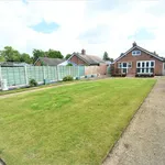 Detached bungalow to rent in Forest Avenue, Goostrey, Crewe CW4