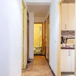 Rent a room in madrid