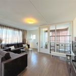 Rent 2 bedroom apartment of 80 m² in Amsterdam