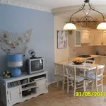 Rent 2 bedroom apartment of 50 m² in Silvi