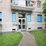 Rent 2 bedroom apartment of 50 m² in Milano