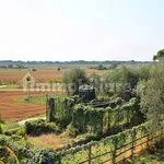 Farmhouse, excellent condition, 100 m², Montalto di Castro