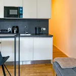 Rent 1 bedroom apartment of 30 m² in Praha 7 - Holešovice