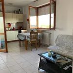 Rent 2 bedroom apartment of 50 m² in Pescara