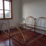 Rent 2 bedroom apartment of 50 m² in Rimini