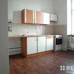 Rent 1 bedroom apartment of 33 m² in Brno