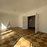 Rent 3 bedroom apartment of 30 m² in Montpellier