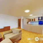 Rent 3 bedroom apartment of 76 m² in Ivančice