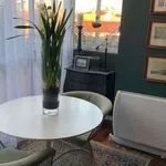 Rent 1 bedroom apartment in lisbon