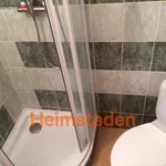 Rent 2 bedroom apartment of 28 m² in Havířov