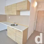 Rent 1 bedroom apartment of 20 m² in Nové Sedlo u Lokte