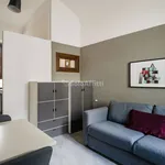 Rent 1 bedroom apartment of 21 m² in Turin