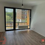 Rent 2 bedroom apartment in Plzeň