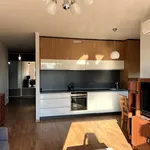 Rent 2 bedroom apartment of 55 m² in Leszno