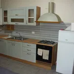 Rent 2 bedroom apartment of 55 m² in Cremona