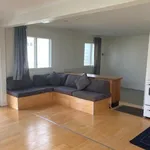 Rent 1 bedroom apartment in Whitianga