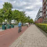 Huur 3 slaapkamer appartement van 91 m² in Morgenstond-West