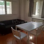 Rent 1 bedroom apartment of 55 m² in Modena