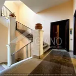 Rent 2 bedroom apartment of 50 m² in Foggia