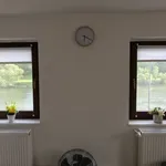 Rent 4 bedroom apartment of 150 m² in Heidelberg