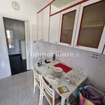 Rent 3 bedroom apartment of 80 m² in Genoa